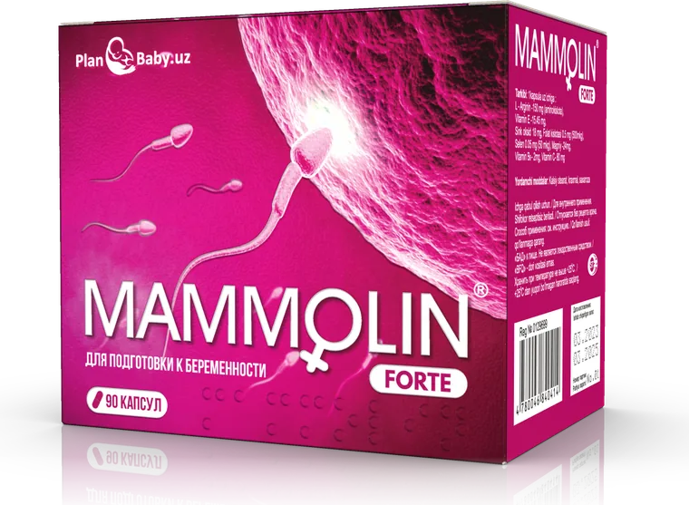 Mammolin forte qadog'i
